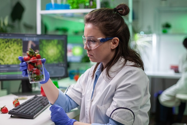 Bioloog-onderzoeker die biologische aardbeien bekijkt die fruit onderzoeken voor medische expertise in de microbiologie. Chemici-wetenschappers die in een landbouwlaboratorium voor farmacologie werken en genetische mutaties op voedsel ontdekken