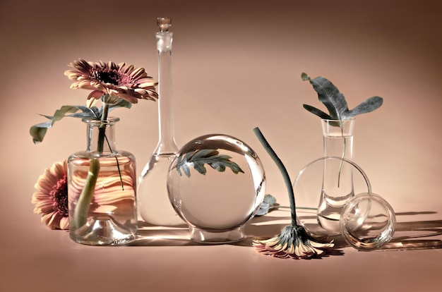 Biophilia design background White gerbera exotic leaves Flowers transparent glass jars bottles vials Reflections distorted floral elements Desaturated