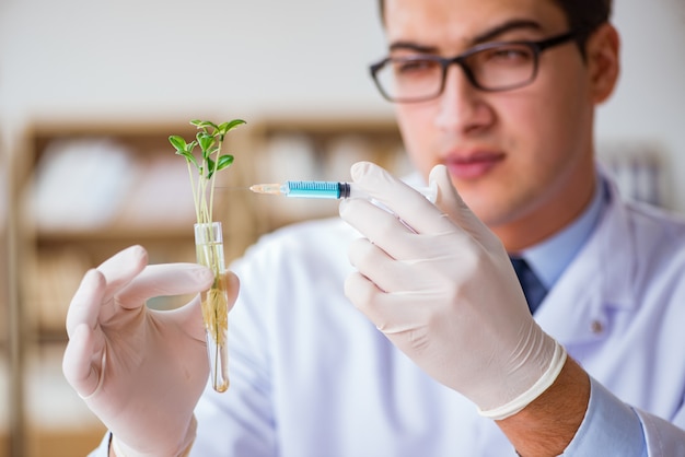 Foto scienziato di biotecnologia che lavora in laboratorio