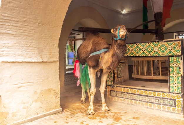 The Bir Barrouta Monument A Domed Edifice Housing a Well in the Medina of Kairouan