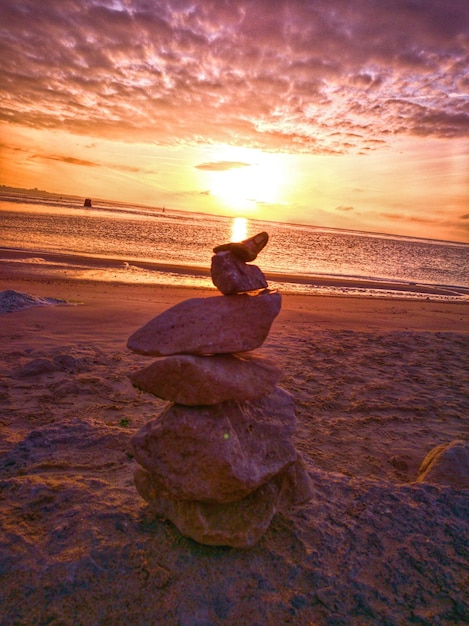 Photo bird on beach against sky during sunset