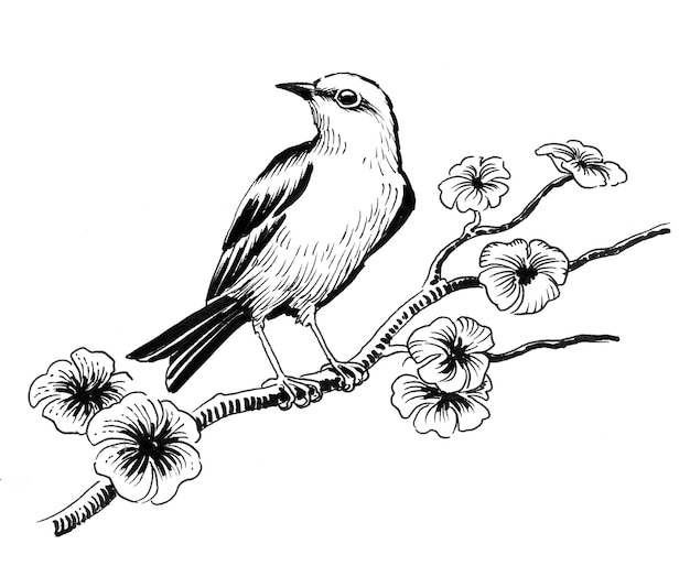 Bird on a blossoming tree. Ink black and white drawing