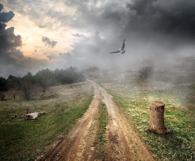 Bird over country road and storm clouds