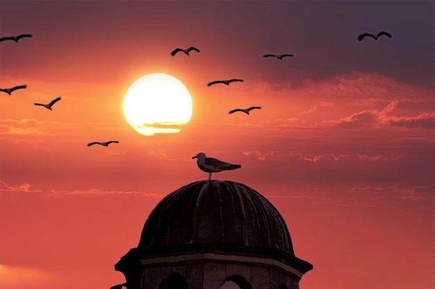 A bird on a dome with the sun setting behind it