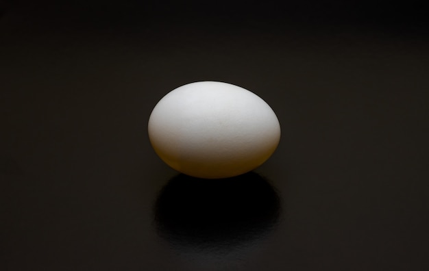 A bird egg close up top view on dark background with long shadow