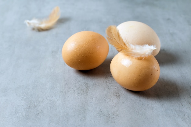 Bird eggs on a concrete, stone or slate