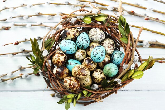 Bird eggs in nest on color wooden background