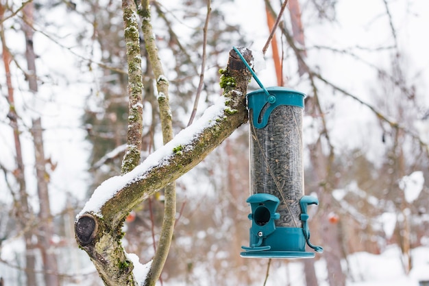 Mangiatoia per uccelli su un ramo con cibo, inverno