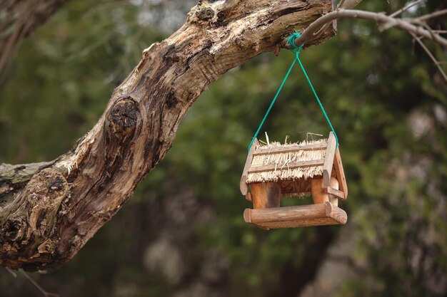 A bird feeder in the form of a small house hanging on a tree branch