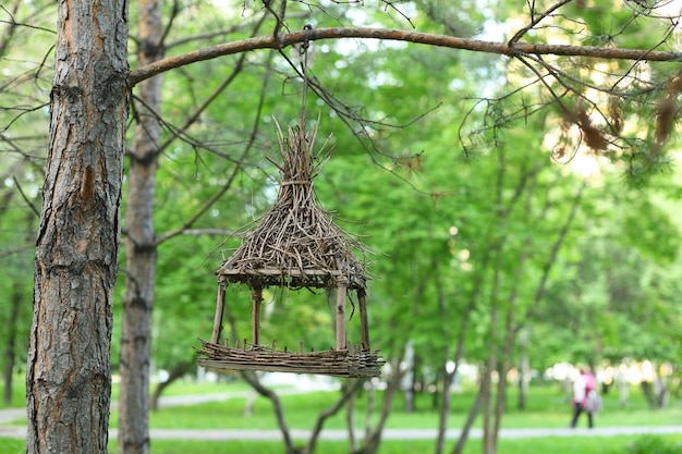 緑の夏の公園の鳥の餌箱