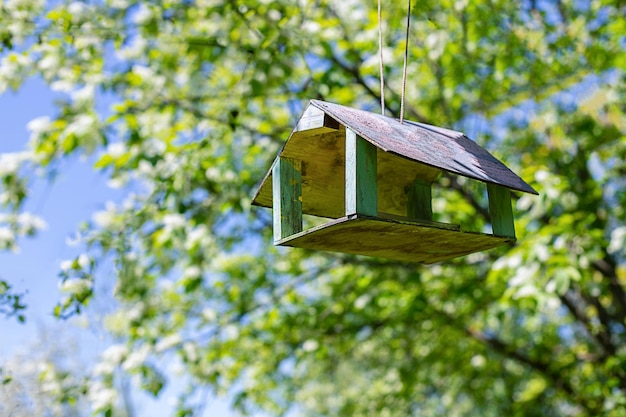 Bird feeder hanging on apple tree Branch of apple tree with bird house Nest box in public park for bird feed