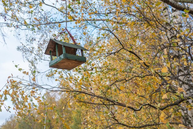 Bird feeder house for flying beautiful chicks on a tree hangs against the background of the forest