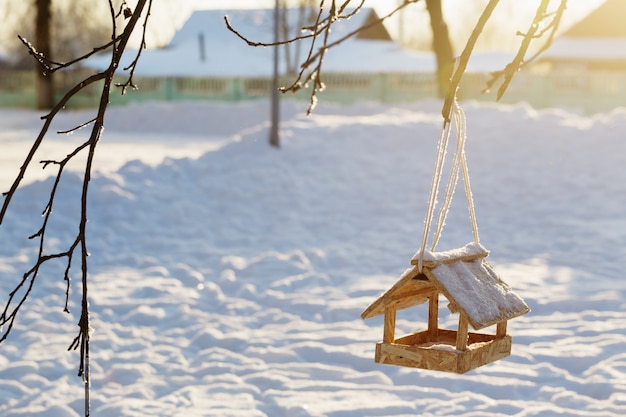 Bird feeder at sunrise