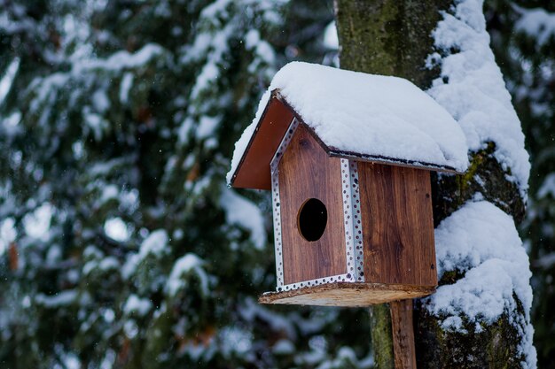 Bird feeder in winter park. Bird house hanging outdoors in winter on tree covered with snow.