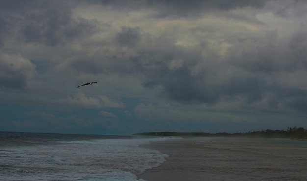 Photo a bird flies over a beach with a cloudy sky in the background.