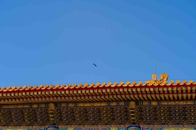 A bird flies over a building with a blue sky in the background.