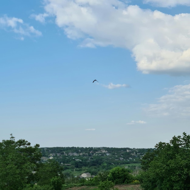 A bird flies over a city with a few clouds in the sky.