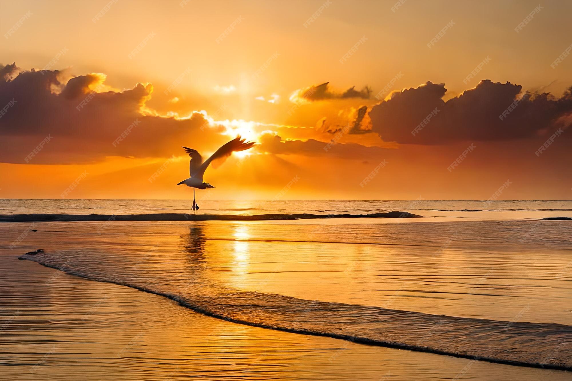 Premium AI Image | a bird flies over the ocean with a sunset in the