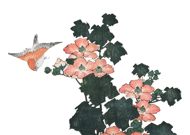 새 와 꽃