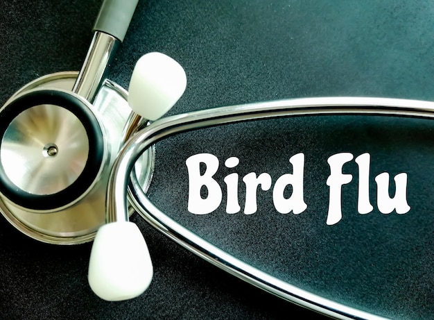 Bird flu disease term on black background with stethoscope.