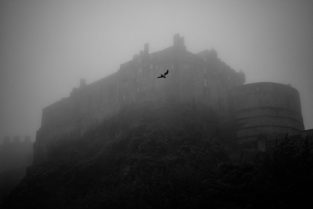 Photo bird flying before a misty dark castle