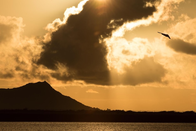 A bird flying over a lake with a mountain in the background