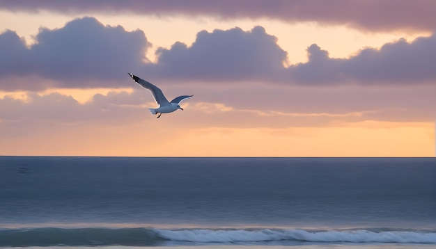 Photo a bird flying over the ocean with a sunset in the background