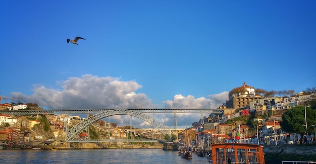 Bird flying over river in city against blue sky