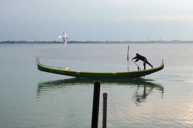 Foto un uccello che vola sul mare contro il cielo