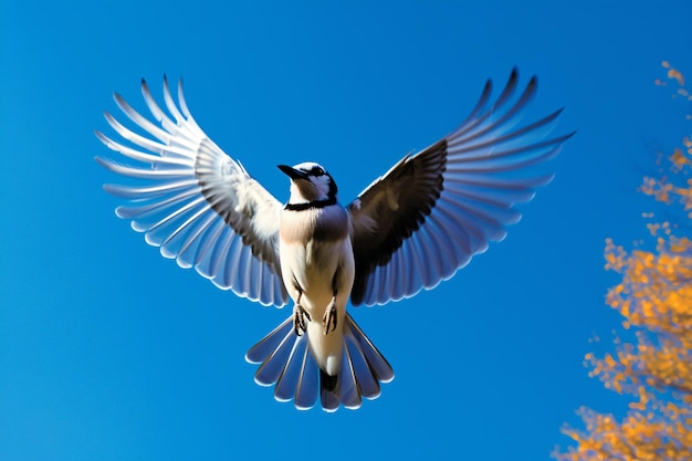 A bird flying in the sky with its wings spread