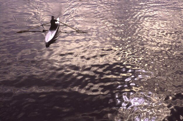 Bird flying over water