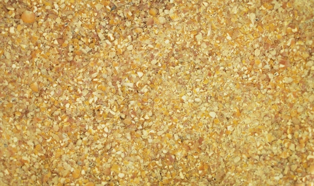 Bird food made from corn Textured foto