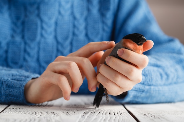 Bird in the hand symbol of care