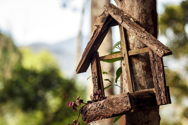 bird house in a tree on a sunny day in the woods