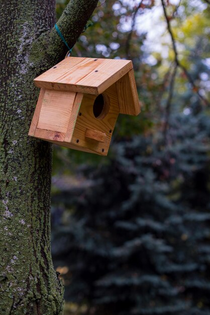 Bird house on a tree