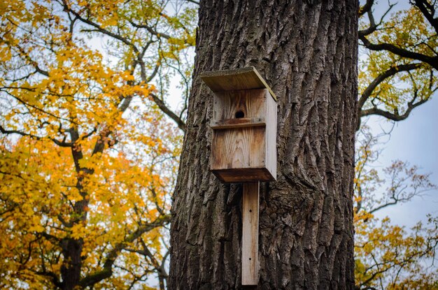 bird house on tree