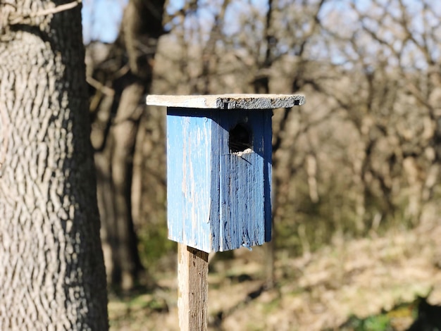 Foto casa degli uccelli