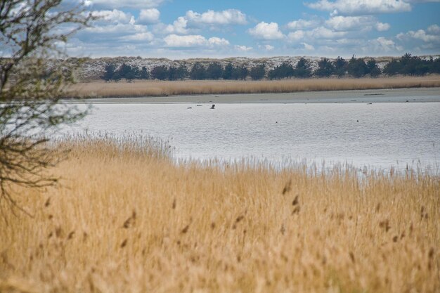 Bodden とバルト海を望む darss の広い風景の鳥の展望台 Pramort