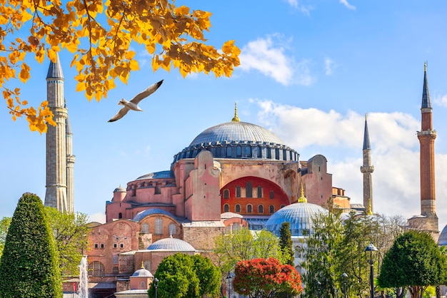 Bird over mosque