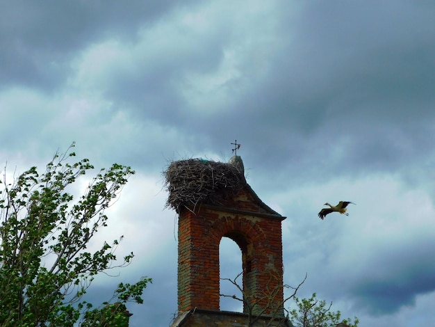 A bird nest is on top of a church.