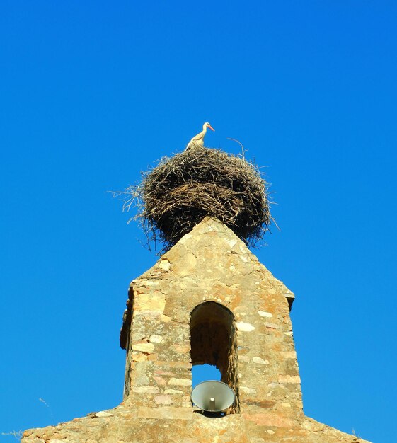 A bird nest is on top of a small building