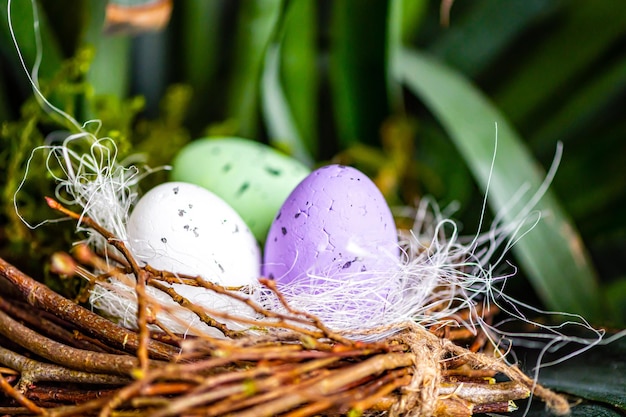 Bird nest with colored Easter eggs on branches of green trees easter decoration selective focus