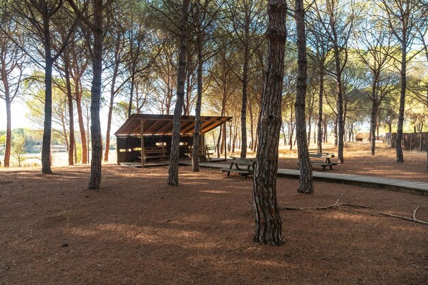 Bird observation post in the Donana Natural Park Huelva Andalusia