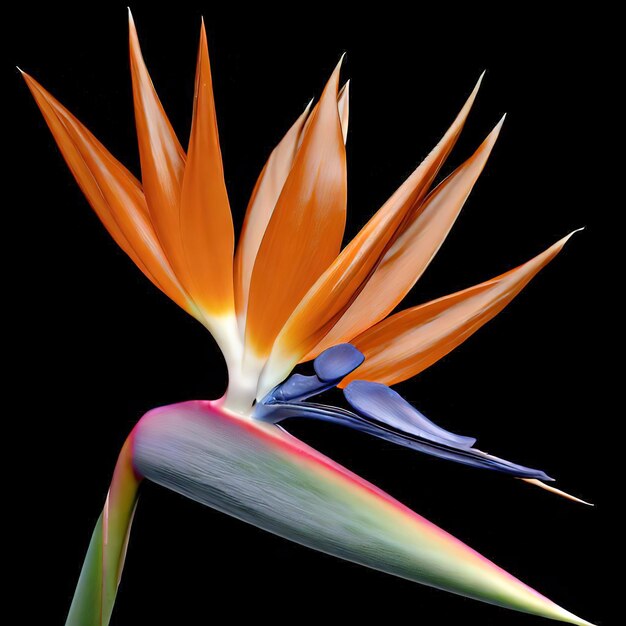 Foto il fiore bird of paradise emana un fascino accattivante dalle terre tropicali