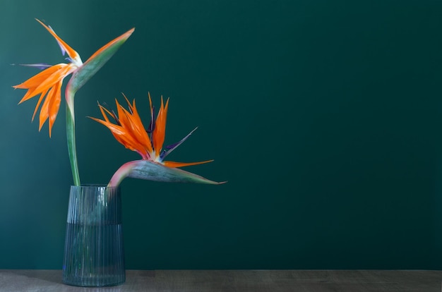 緑の背景の上に花瓶の極楽鳥の花