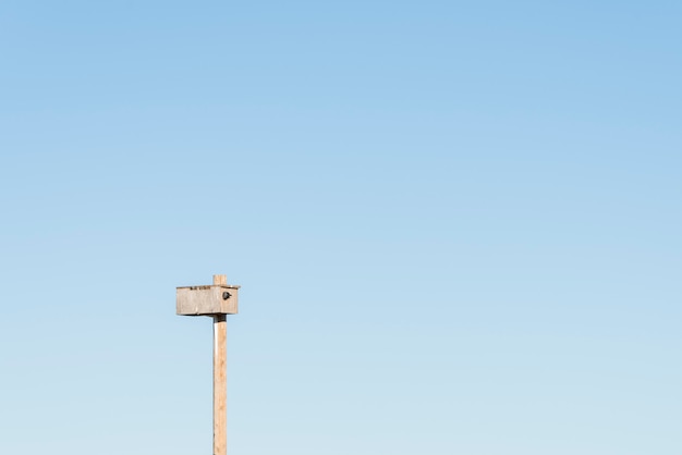 Bird peeking in birdhouse with blue sky