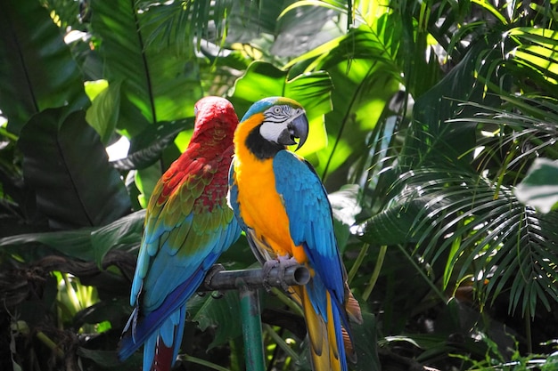 Bird perching on a branch