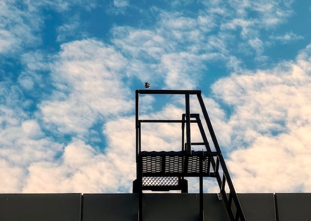 Bird perching on metal platform on wall against cloudy blue sky