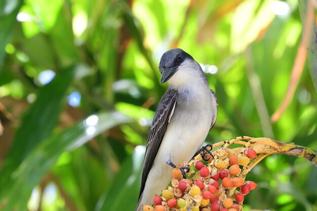 Bird perching on a plant