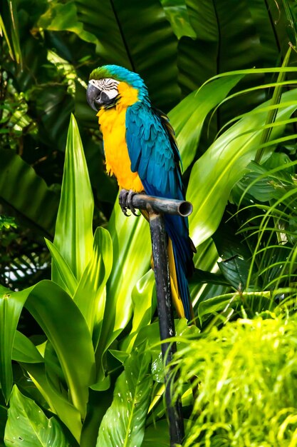 Bird perching on a plant